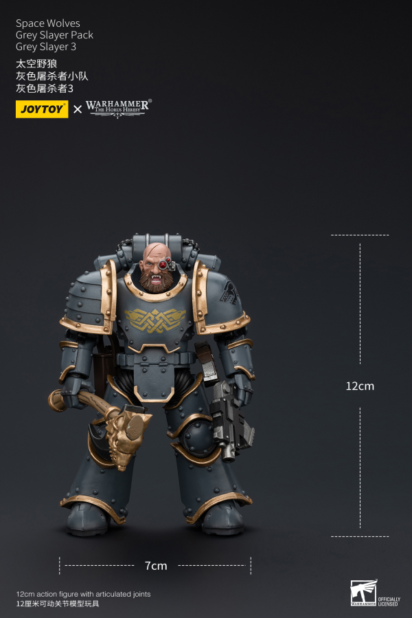 Joy Toy Space Wolves Grey Slayer Pack Grey Slayer3(6973130376076)(6973130376076)