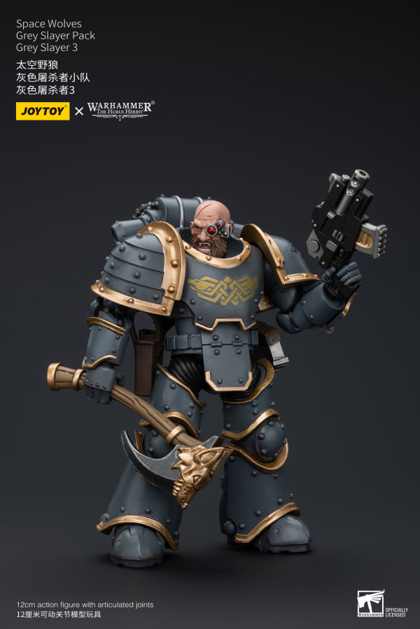 Joy Toy Space Wolves Grey Slayer Pack Grey Slayer3(6973130376076)(6973130376076)