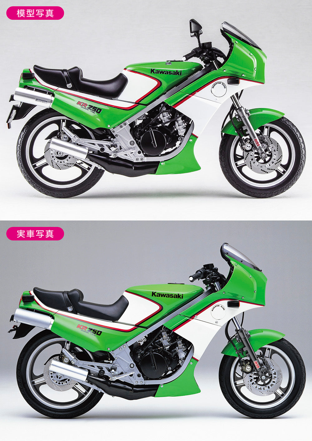 Hasegawa [BK12] 1:12 Kawasaki KR250 (KR250A)