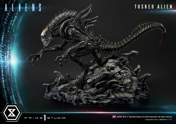 Prime 1 Studio Premium Masterline Aliens (Comics) Tusked Alien Bonus Version(4580708036014)(4580708036014)