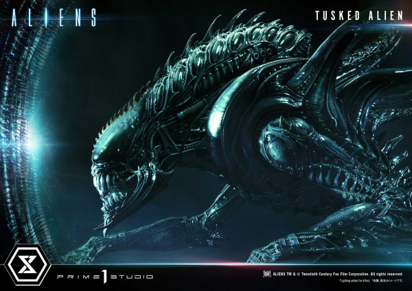 Prime 1 Studio Premium Masterline Aliens (Comics) Tusked Alien Bonus Version(4580708036014)(4580708036014)