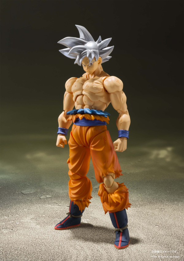 BANDAI Tamashii (Reissue) SON GOKU ULTRA INSTINCT "DRAGON BALL Z", TAMASHII NATIONS S.H.Figuarts