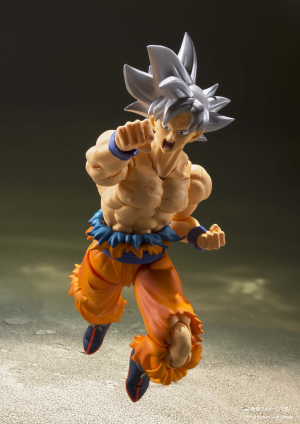 BANDAI Tamashii (Reissue) SON GOKU ULTRA INSTINCT "DRAGON BALL Z", TAMASHII NATIONS S.H.Figuarts