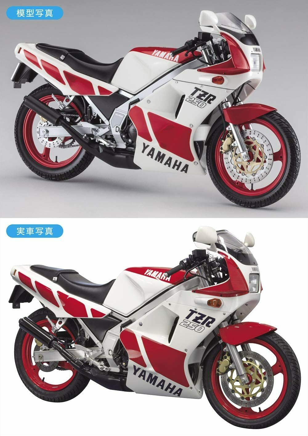 Hasegawa [BK11] 1:12 Yamaha TZR250 (1KT)(4967834215115)