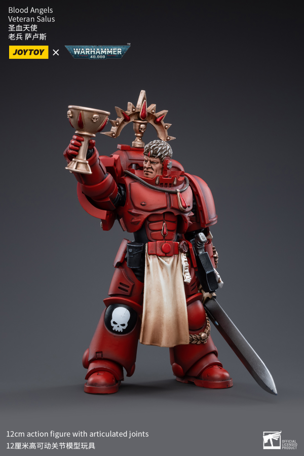 Joy Toy Blood Angels Veteran Salus