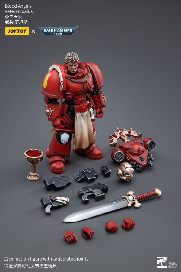 Joy Toy Blood Angels Veteran Salus