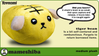 Toynami Mameshiba Medium Plush - Tiger Bean