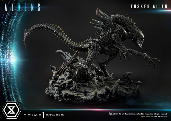 Prime 1 Studio Premium Masterline Aliens (Comics) Tusked Alien Bonus Version(4580708036014)(4580708036014)