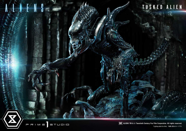 Prime 1 Studio Premium Masterline Aliens (Comics) Tusked Alien Bonus Version(4580708036014)(4580708036014)