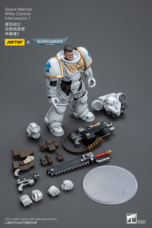 Joy Toy Space Marines White Consuls Intercessors 1