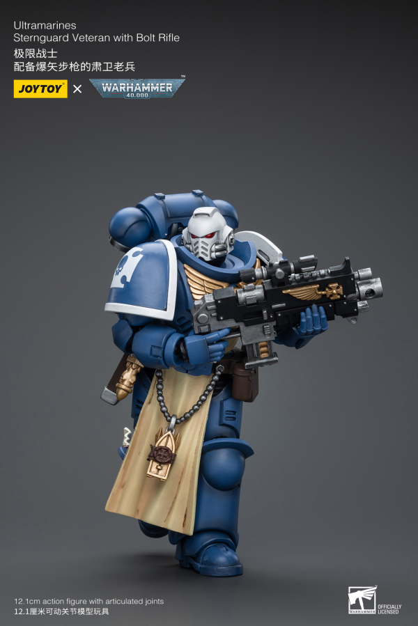 Joy Toy Ultramarines Sternguard Veteran with Bolt Rifle | 6973130379831