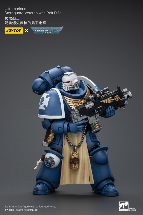 Joy Toy Ultramarines Sternguard Veteran with Bolt Rifle