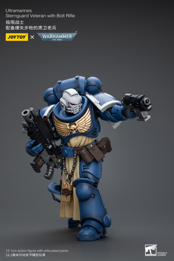 Joy Toy Ultramarines Sternguard Veteran with Bolt Rifle