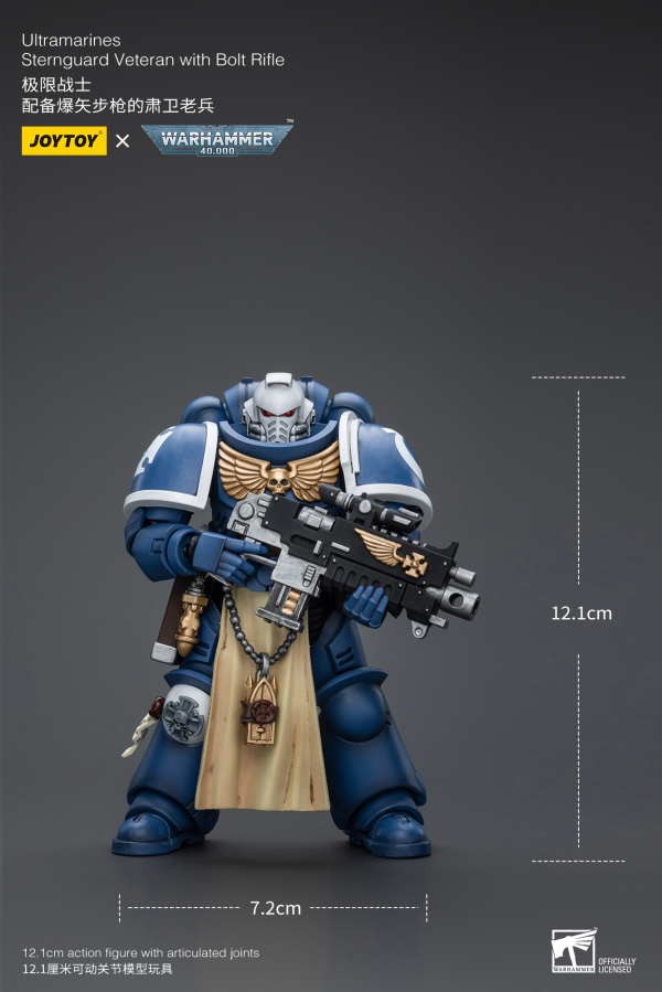 Joy Toy Ultramarines Sternguard Veteran with Bolt Rifle