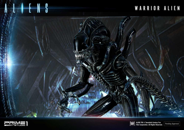 Prime 1 Studio Premium Masterline Aliens (Comics) Warrior Alien DX Bonus Version(4582535943855)(4582535943855)