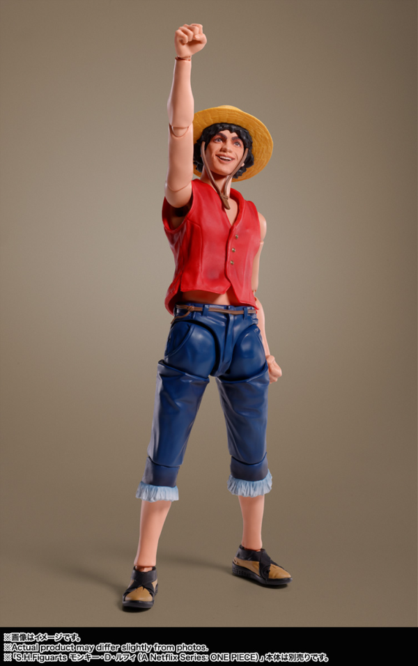 BANDAI Tamashii NAMI（A Netflix Series: ONE PIECE） "A Netflix Series: ONE PIECE", TAMASHII NATIONS S.H.Figuarts