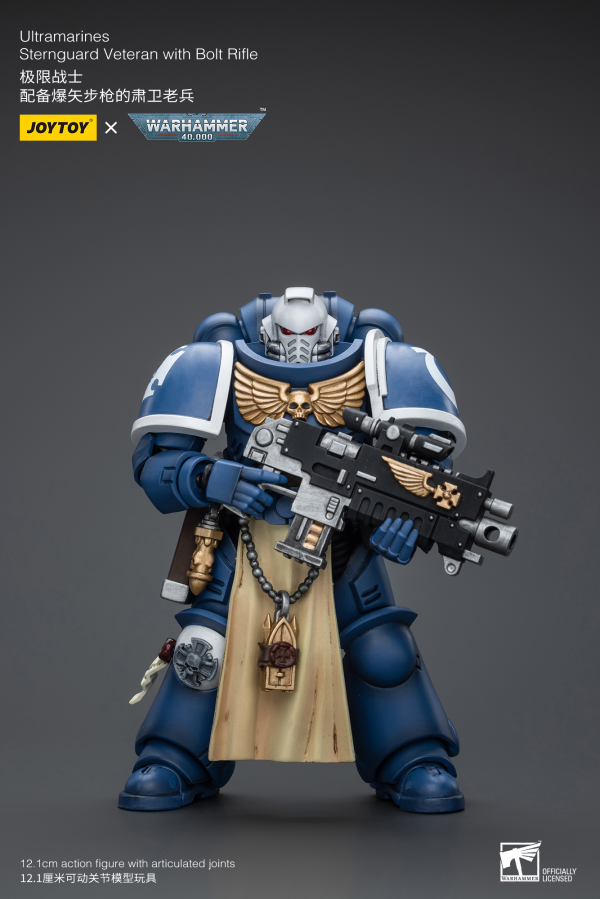 Joy Toy Ultramarines Sternguard Veteran with Bolt Rifle