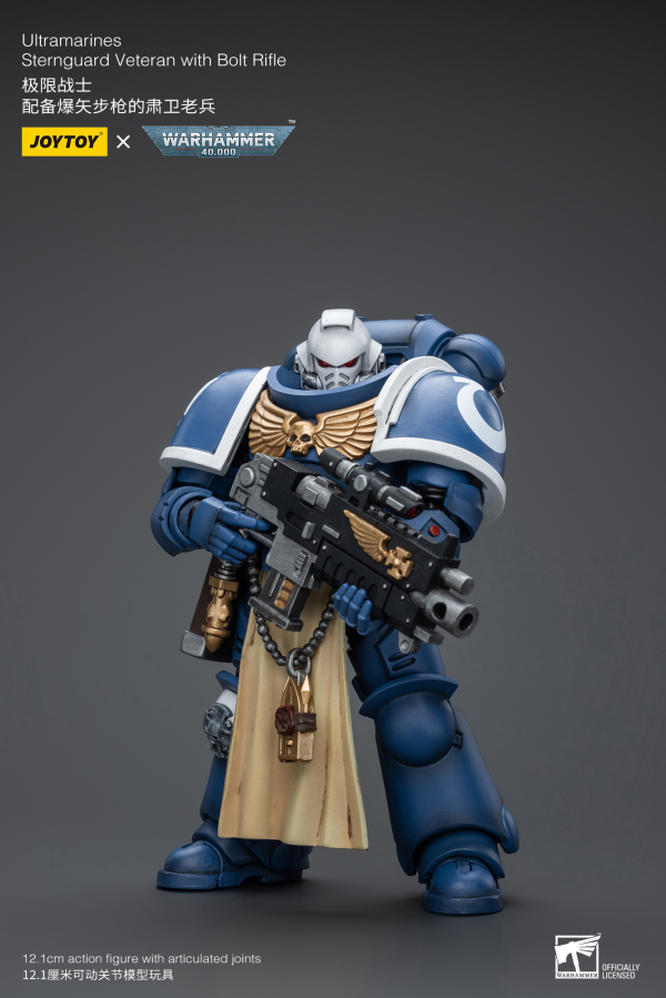 Joy Toy Ultramarines Sternguard Veteran with Bolt Rifle