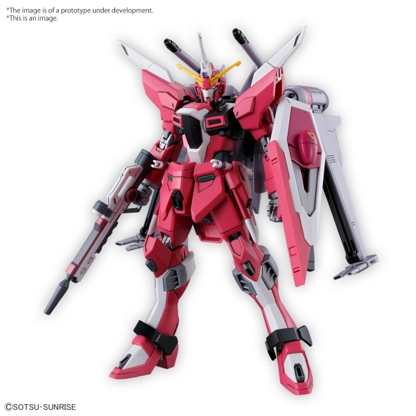 BANDAI Hobby HG 1/144 INFINITE JUSTICE GUNDAM TypeⅡ(4573102666925)(4573102666925)