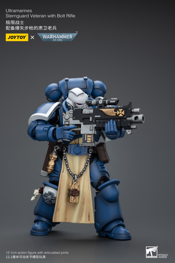 Joy Toy Ultramarines Sternguard Veteran with Bolt Rifle