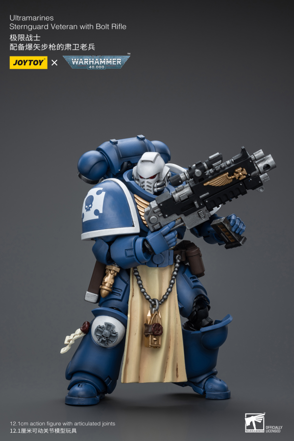 Joy Toy Ultramarines Sternguard Veteran with Bolt Rifle