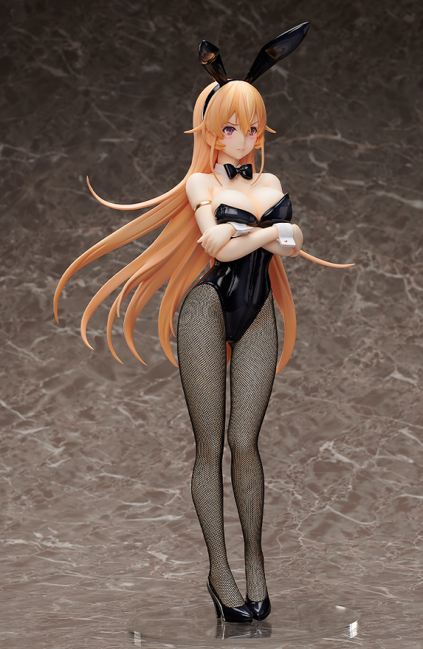 FREEing Erina Nakiri: Bunny Ver.(Re-run) | 4570001513381