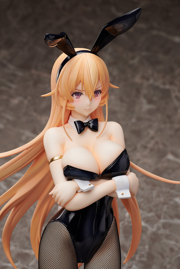 FREEing Erina Nakiri: Bunny Ver.(Re-run) | 4570001513381