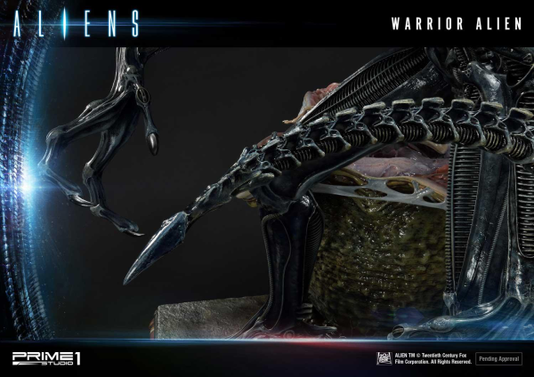 Prime 1 Studio Premium Masterline Aliens (Comics) Warrior Alien DX Bonus Version(4582535943855)(4582535943855)