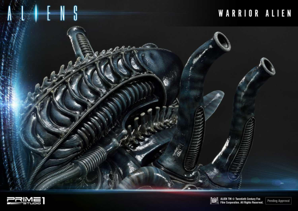 Prime 1 Studio Premium Masterline Aliens (Comics) Warrior Alien DX Bonus Version(4582535943855)(4582535943855)