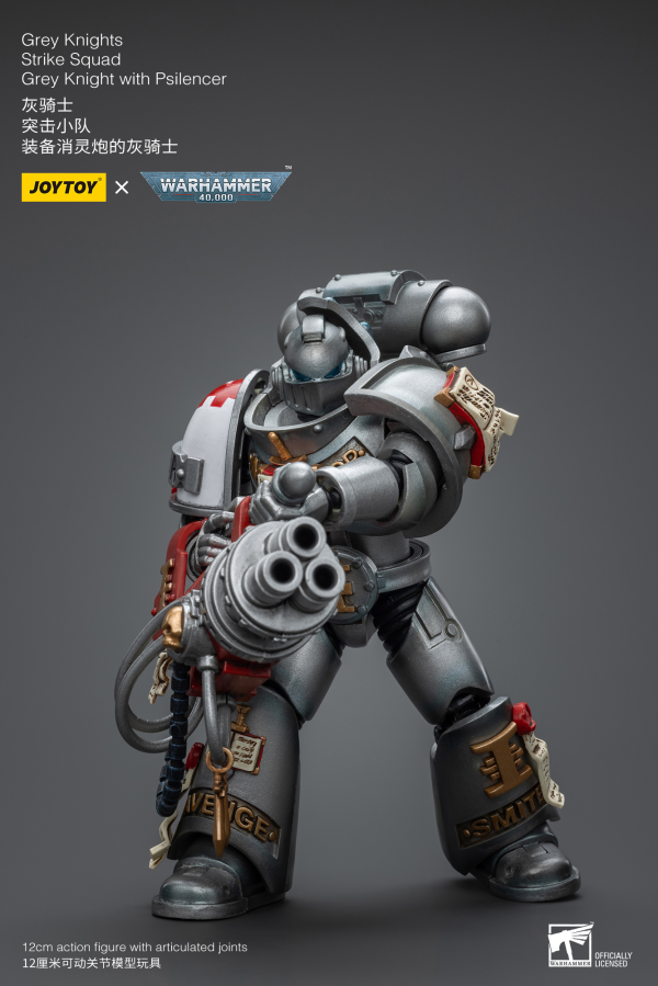 Joy Toy Grey Knights Strike Squad Grey Knight with Psilencer