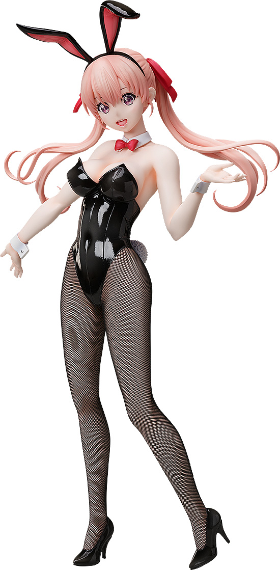 FREEing Erika Amano: Bunny Ver. | 4570001511943