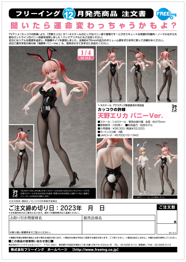 FREEing Erika Amano: Bunny Ver. | 4570001511943