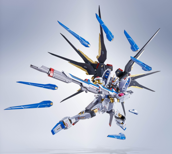 TAMASHII NATIONS STRIKE FREEDOM GUNDAM [Re:Coordinate] "GUNDAM", TAMASHII NATIONS METAL ROBOT SPIRITS(4573102675491)(4573102675491)