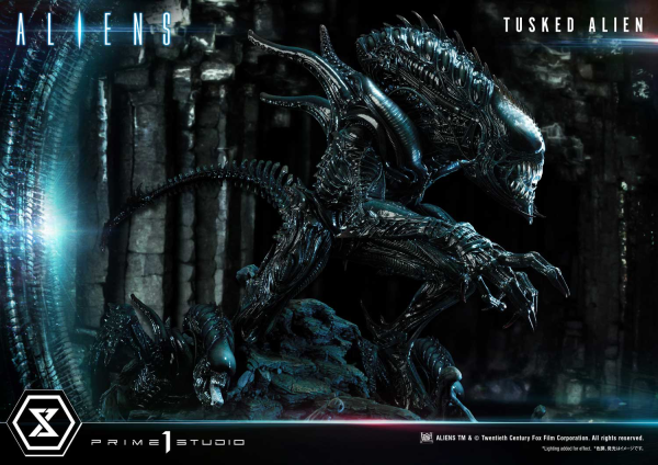 Prime 1 Studio Premium Masterline Aliens (Comics) Tusked Alien Bonus Version(4580708036014)(4580708036014)