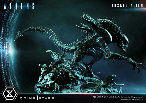 Prime 1 Studio Premium Masterline Aliens (Comics) Tusked Alien Bonus Version(4580708036014)(4580708036014)