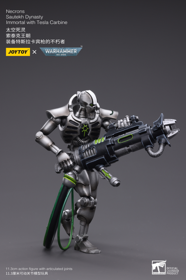 Joy Toy WH40K-Necrons Sautekh Dynasty Immortal with Tesla Carbine