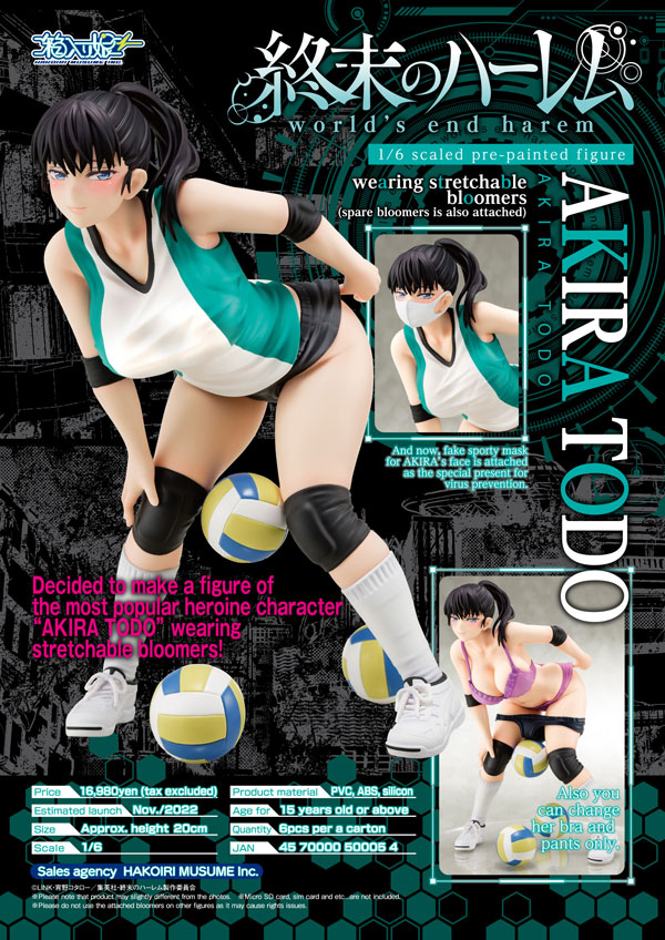 Good Smile Company 1/6 scaled pre-painted figure worlds end harem AKIRA TODO wearing stretchable bloomers (spare bloomers is also attached) | 4570000500054