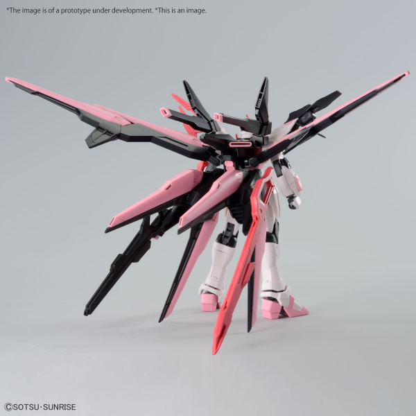 BANDAI Hobby HG 1/144 GUNDAM PERFECT STRIKE FREEDOM ROUGE(4573102662736)(4573102662736)