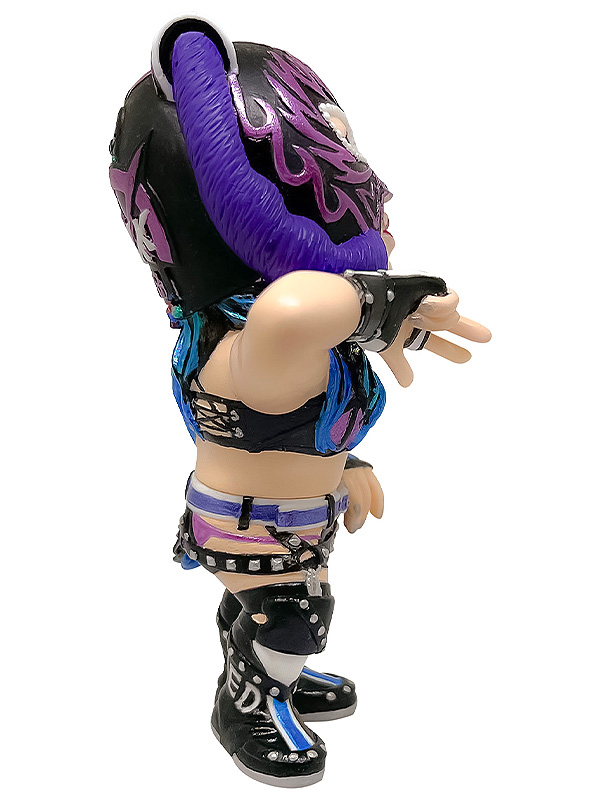 16 directions 16d Collection 031: (STARDOM) Starlight Kid