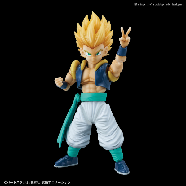 BANDAI Hobby Figure-rise Standard SUPER SAIYAN GOTENKS | 4573102576231