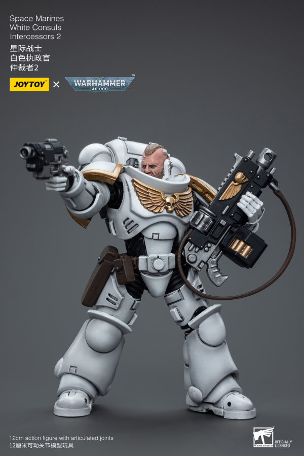 Joy Toy Space Marines White Consuls Intercessors 2