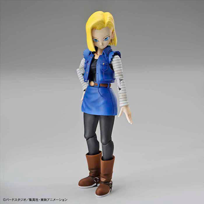 BANDAI Hobby Figure-rise Standard ANDROID No. 18 (Renewal Version)