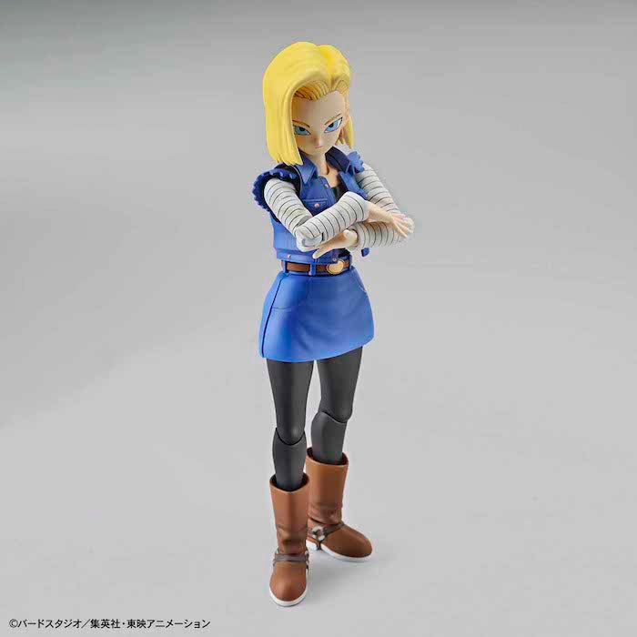 BANDAI Hobby Figure-rise Standard ANDROID No. 18 (Renewal Version)