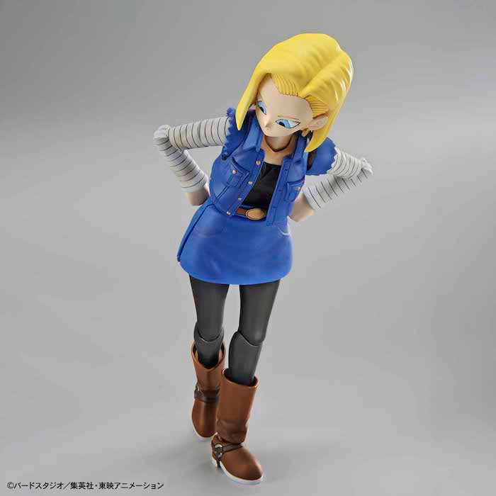 BANDAI Hobby Figure-rise Standard ANDROID No. 18 (Renewal Version)