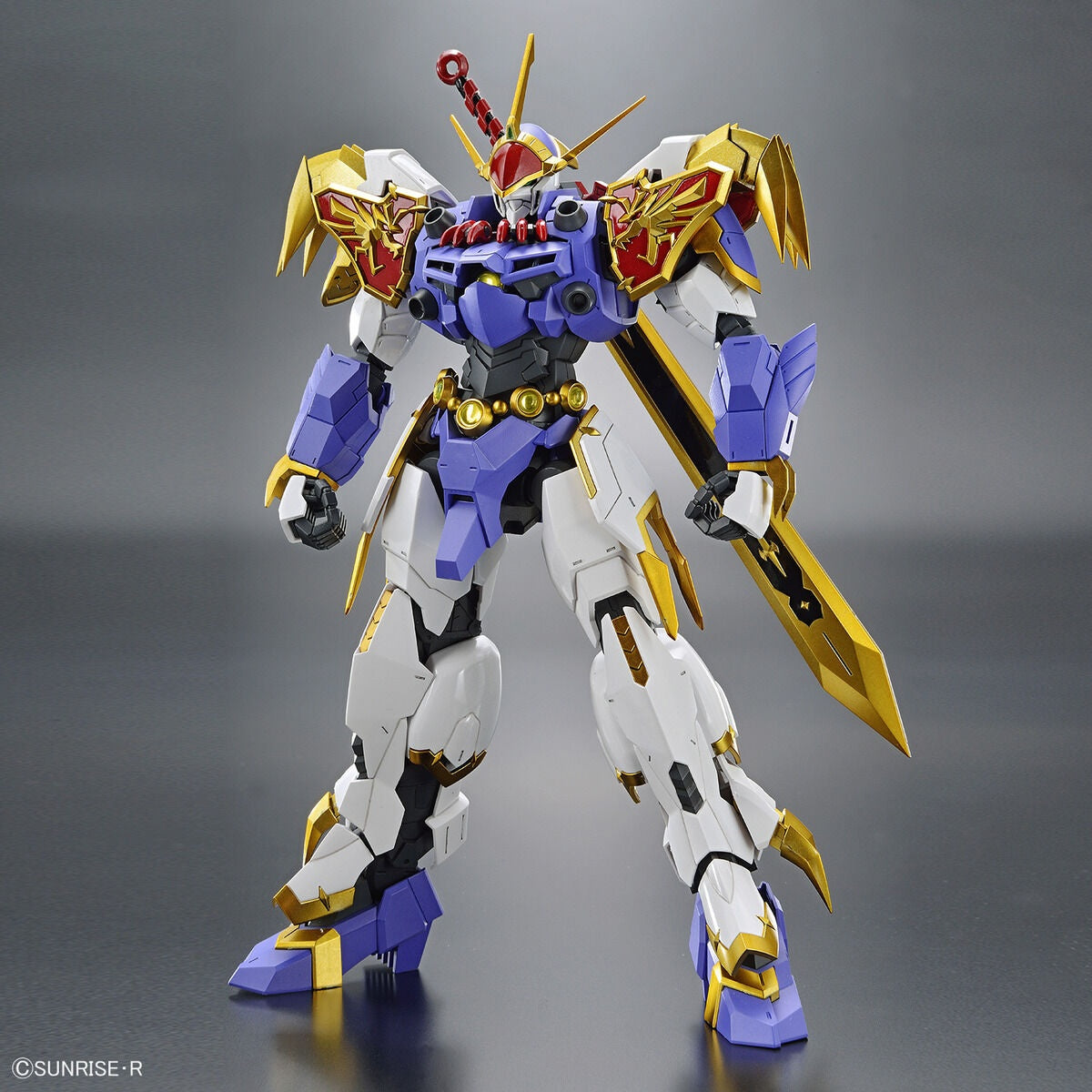 BANDAI Hobby HG Amplified IMGN RYUJINMARU