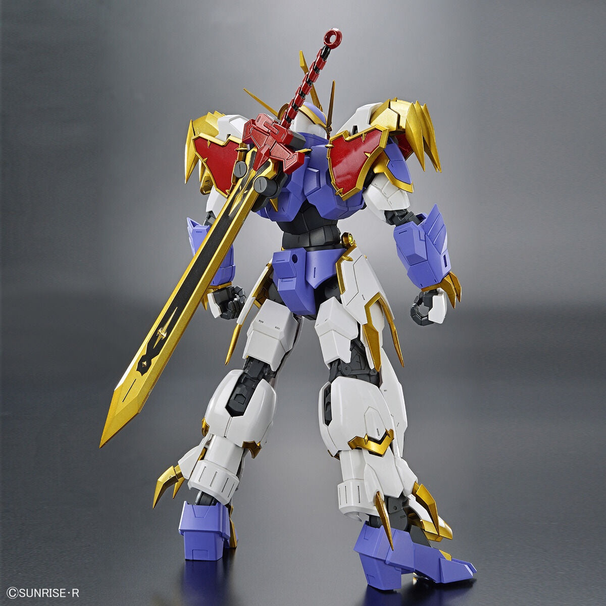 BANDAI Hobby HG Amplified IMGN RYUJINMARU