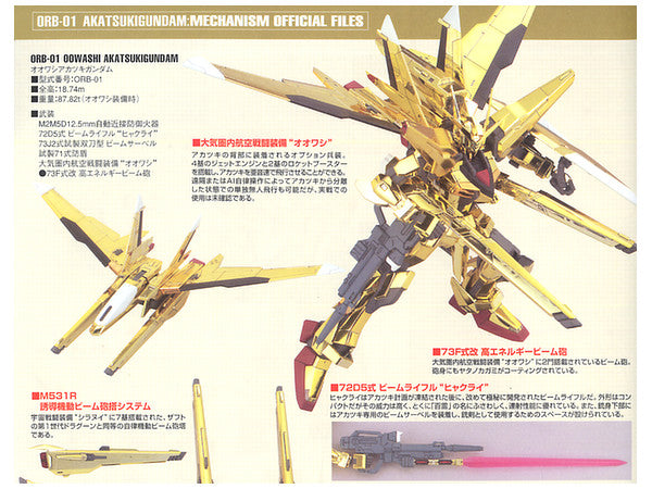 BANDAI Hobby HG 1/100 #15 Akatsuki Oowashi/Shiranui