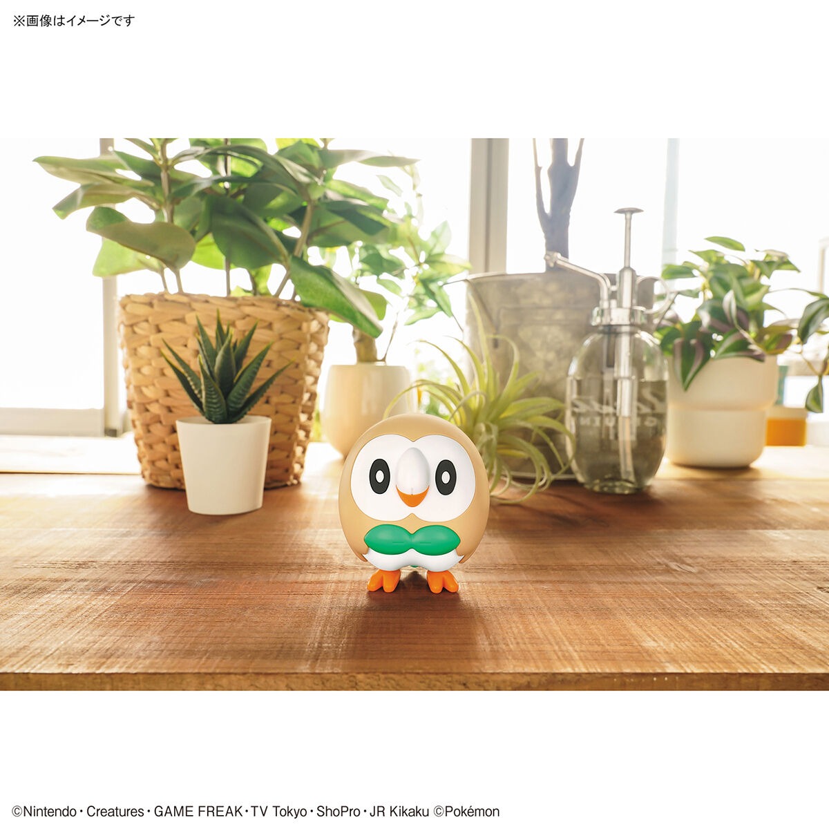 BANDAI Hobby Pokemon Model Kit QUICK!! 10 ROWLET