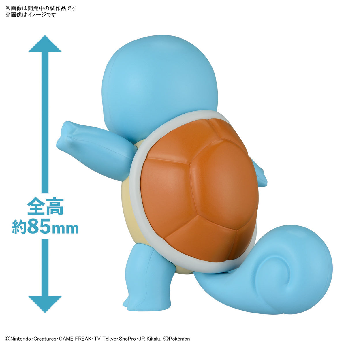 BANDAI Hobby Pokémon Model Kit QUICK!! 17 SQUIRTLE