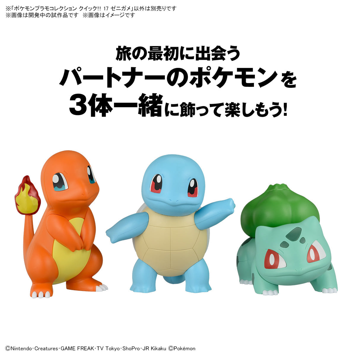 BANDAI Hobby Pokémon Model Kit QUICK!! 17 SQUIRTLE